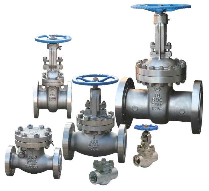 Globe valve A351 Grade CF8